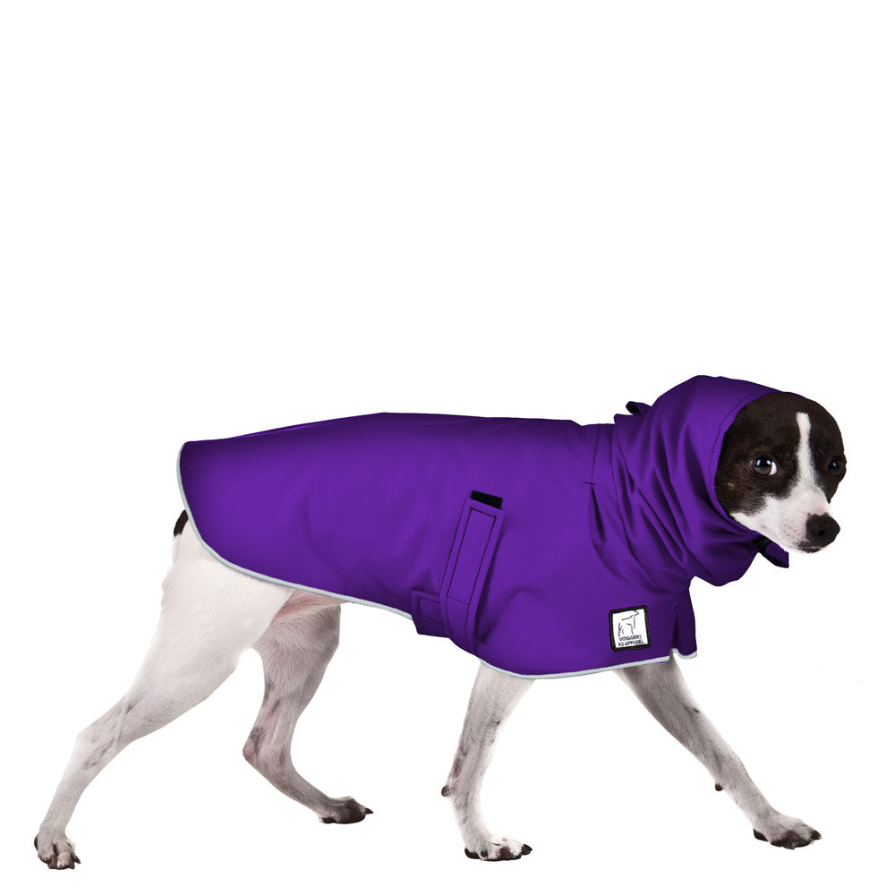 Rat Terrier Raincoat