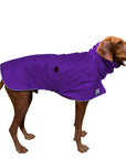 Vizsla Raincoat