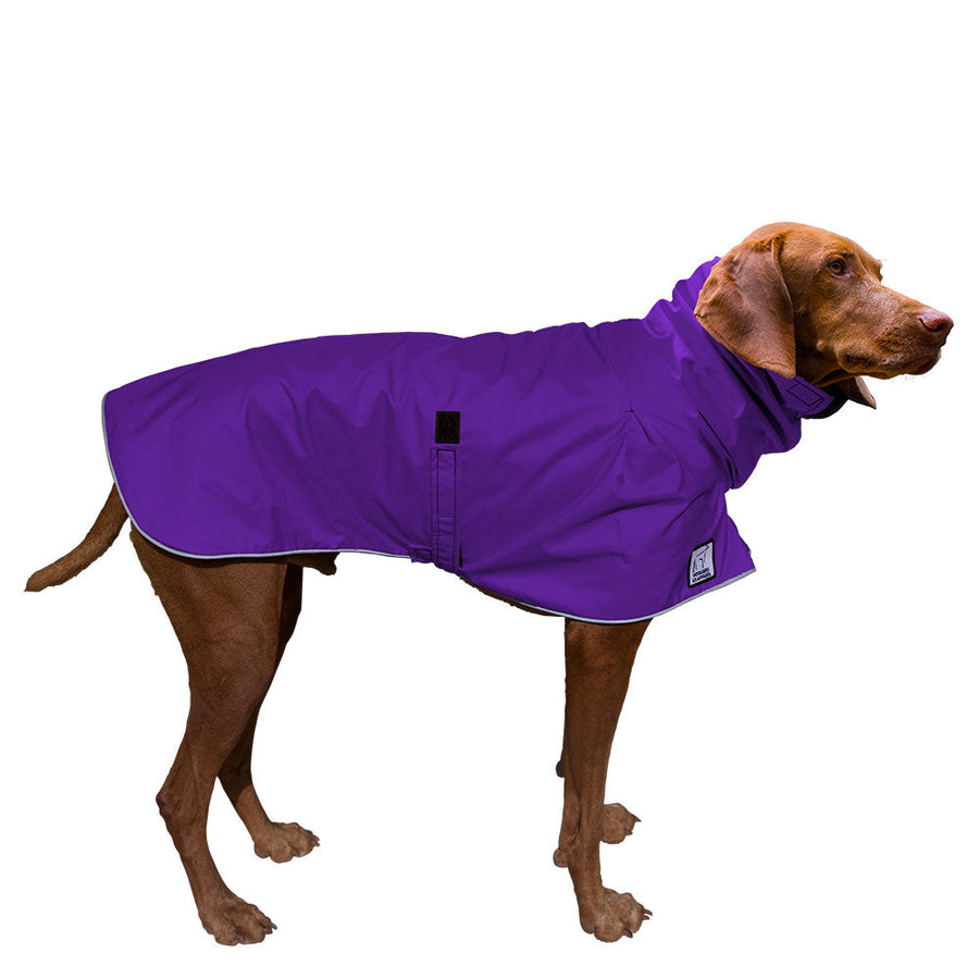 Vizsla Raincoat