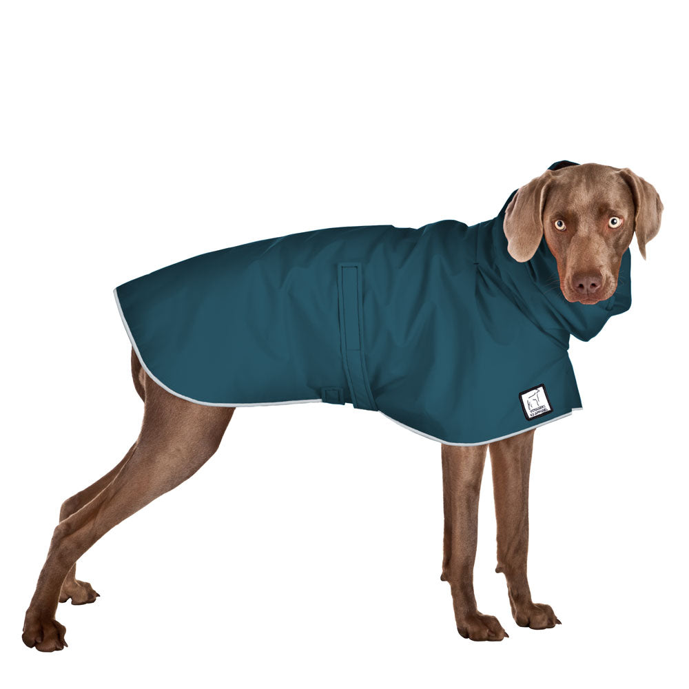 Weimaraner Rain Coat (Dark Teal) - Voyagers K9 Apparel