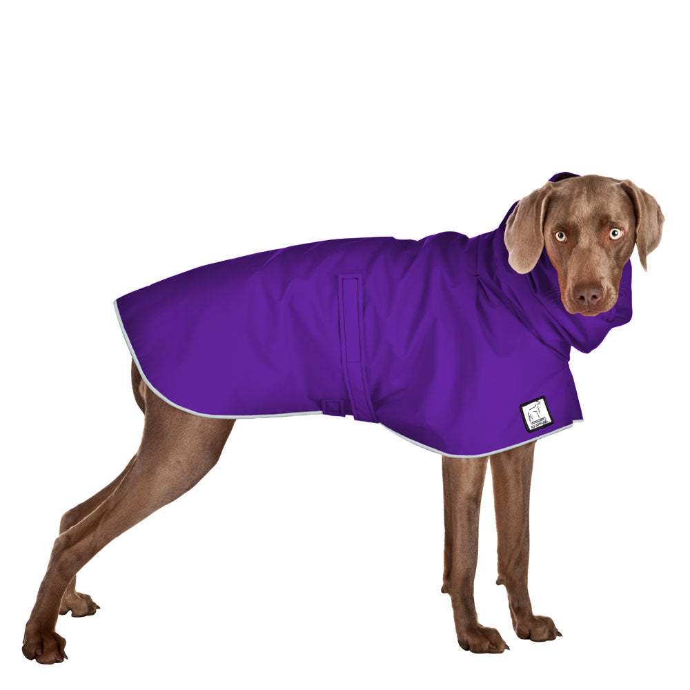 Weimaraner Raincoat