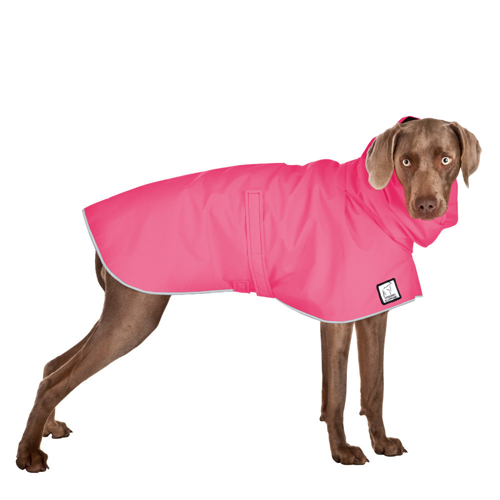 Weimaraner Raincoat