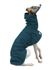 Whippet Rain Coat (Dark Teal)- Voyagers K9 Apparel