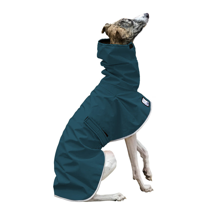 Whippet Rain Coat (Dark Teal)- Voyagers K9 Apparel