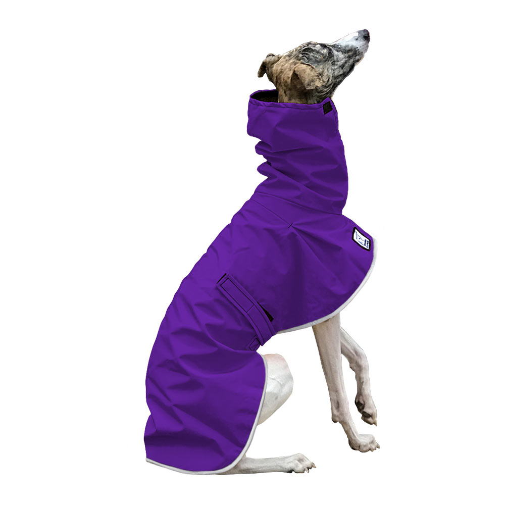 Whippet Waterproof Dog Rain Coat – Voyagers K9 Apparel