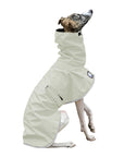 ReCoat ♻️ Whippet Raincoat with Harness Opening