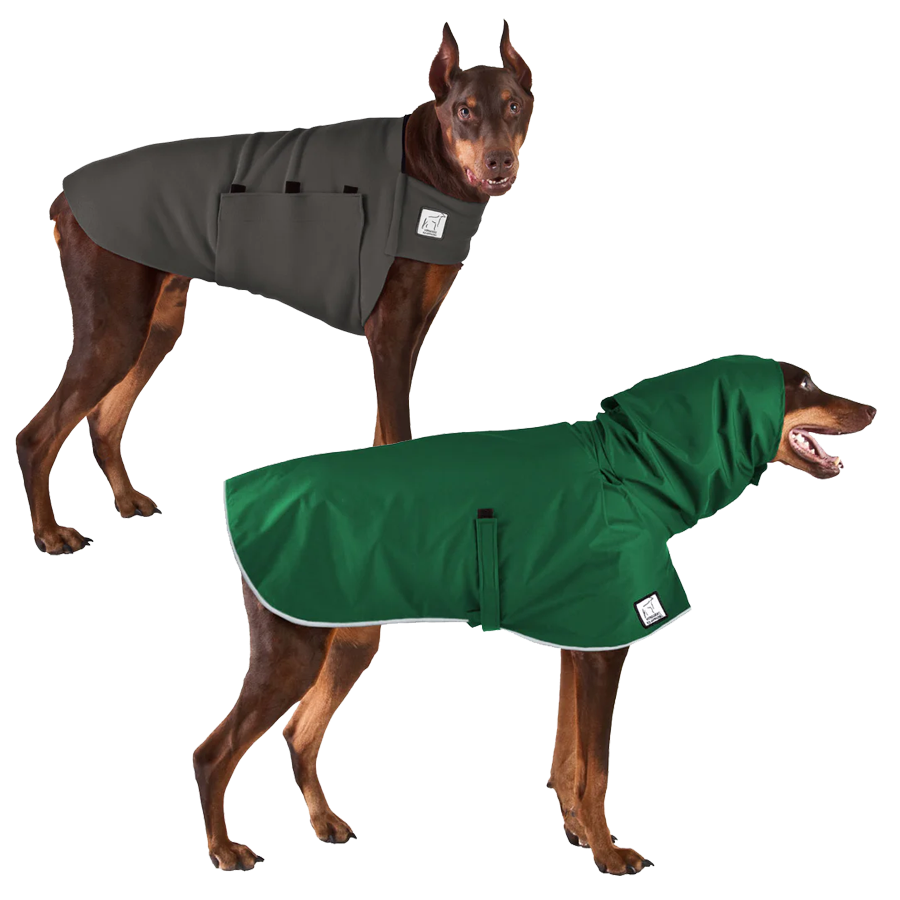 Doberman Pinscher Camper Bundle