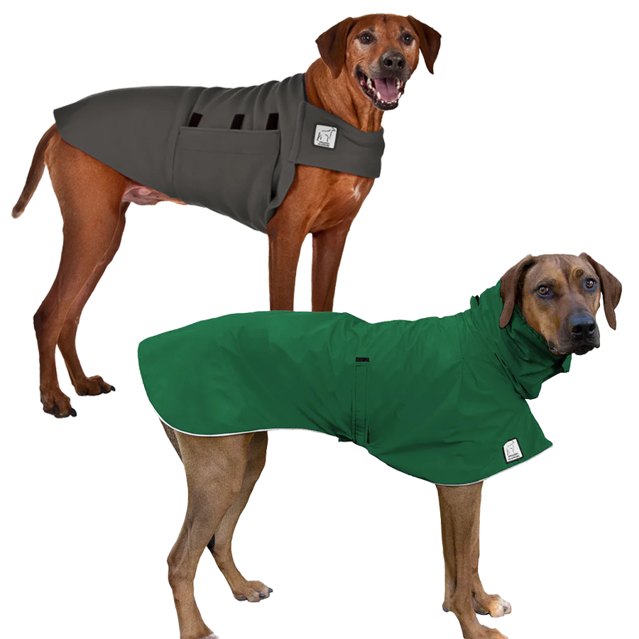 Rhodesian Ridgeback Camper Bundle – Voyagers K9 Apparel