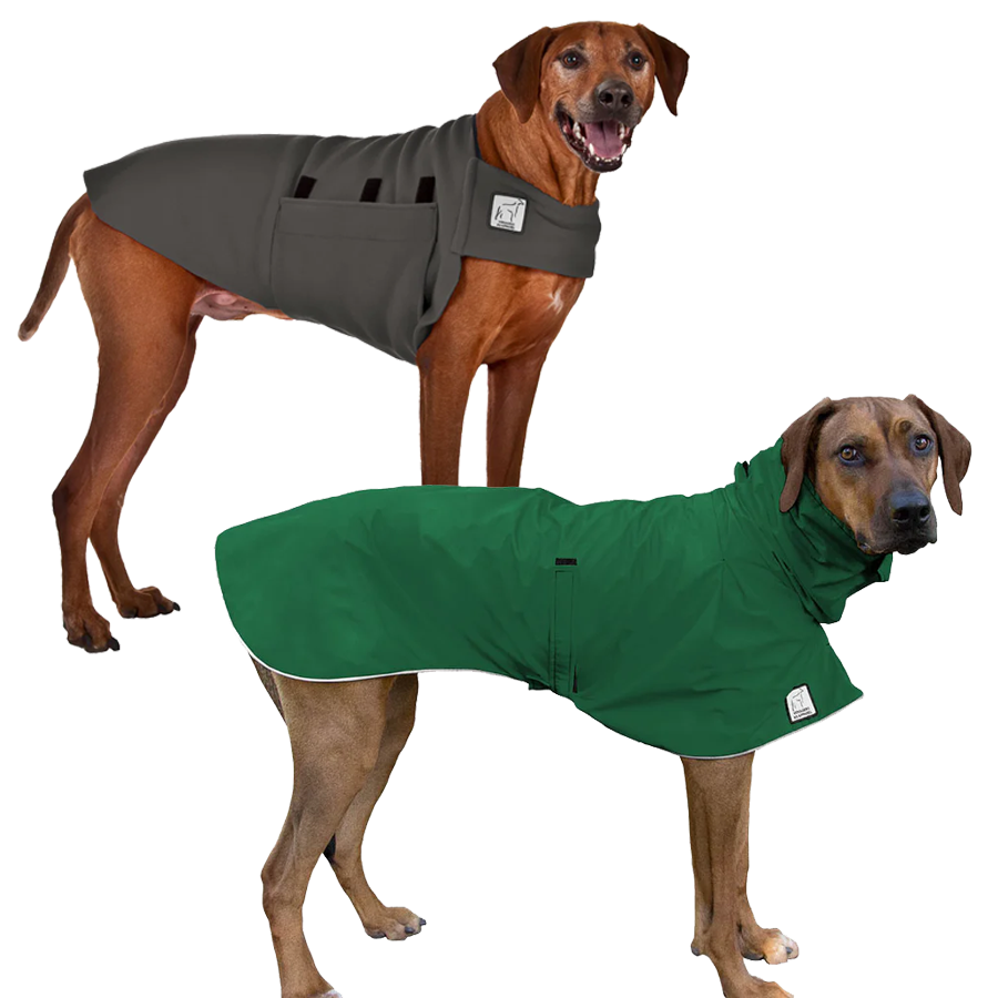 Rhodesian Ridgeback Camper Bundle