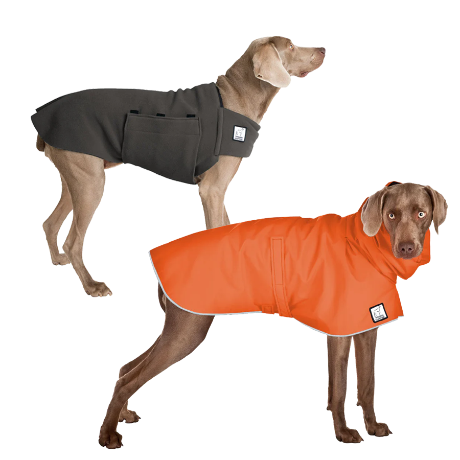 Weimaraner Camper Bundle