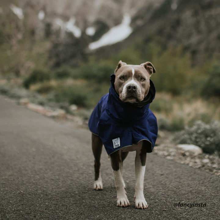 Winter Jacket Best Rain Jacket For Dogs Sale Best Waterproof Coat