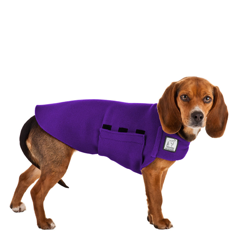 Beagle Tummy Warmer - Voyagers K9 Apparel