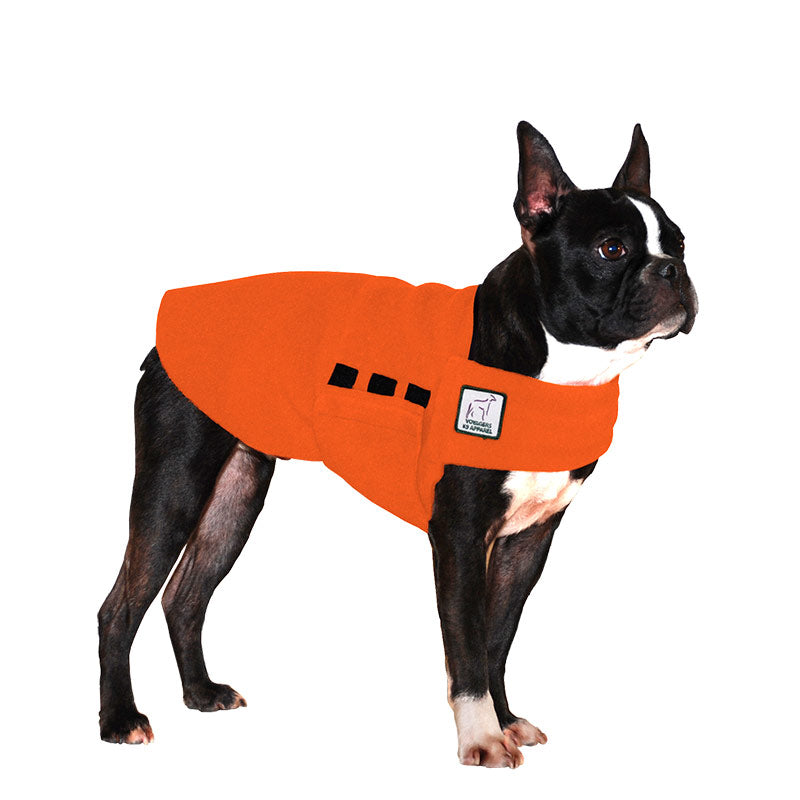 ReCoat ♻️ Boston Terrier Tummy Warmer
