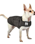 Chihuahua Tummy Warmer - Voyagers K9 Apparel