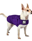 Chihuahua Tummy Warmer - Voyagers K9 Apparel