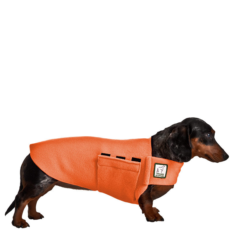 Dachshund Tummy Warmer