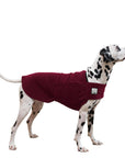 Dalmatian Tummy Warmer - Voyagers K9 Apparel