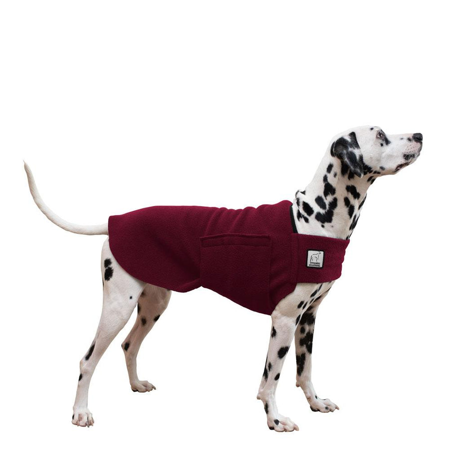 Dalmatian Tummy Warmer - Voyagers K9 Apparel