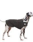 Dalmatian Tummy Warmer - Voyagers K9 Apparel