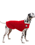 Dalmatian Tummy Warmer - Voyagers K9 Apparel