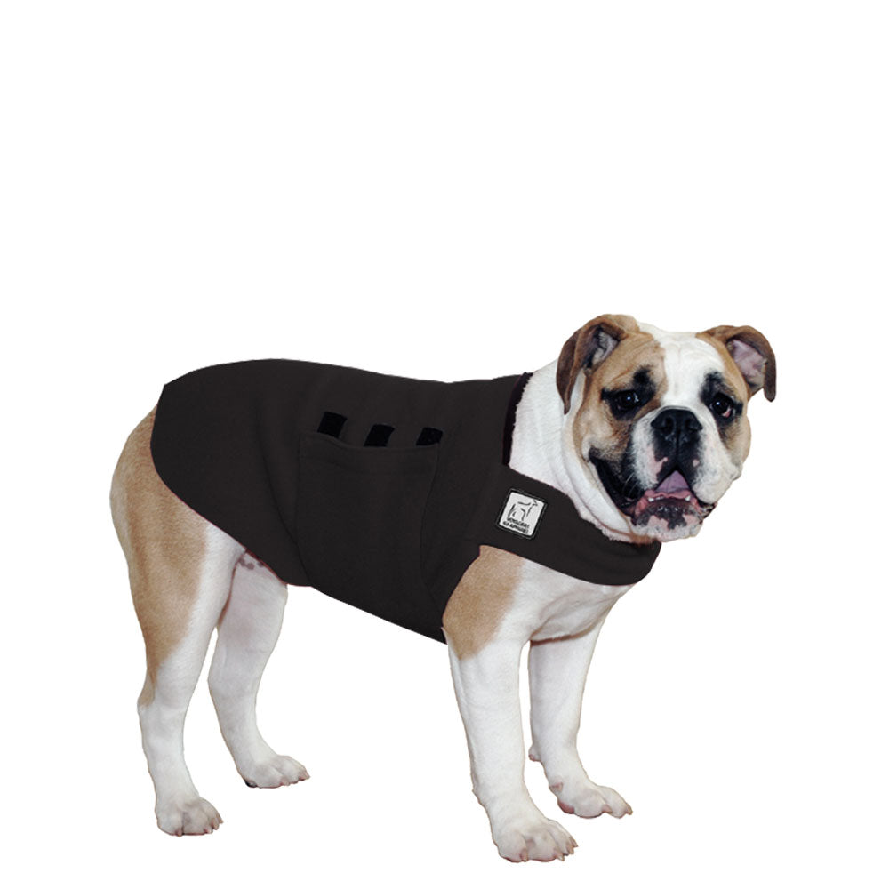 English Bulldog Tummy Warmer