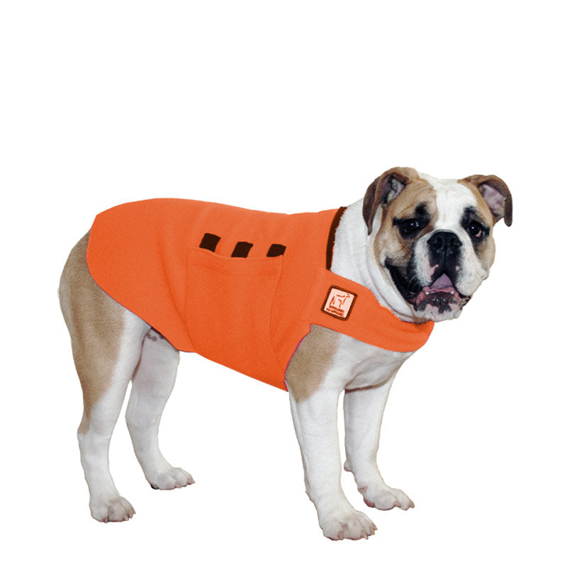 English Bulldog Tummy Warmer