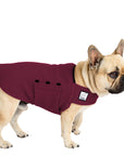 French Bulldog Tummy Warmer - Voyagers K9 Apparel