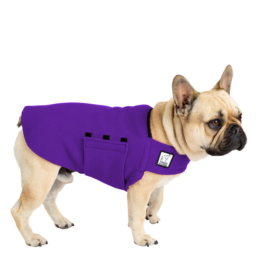 French Bulldog Tummy Warmer - Voyagers K9 Apparel