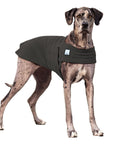 Great Dane Tummy Warmer - Voyagers K9 Apparel