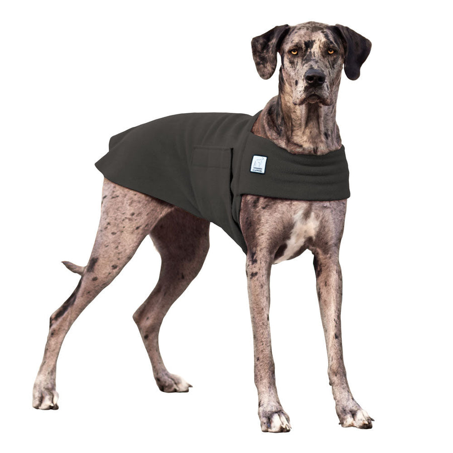 Amazon Jackets For Great Dane Dogs Great Dane Warm Winter Dog Coat