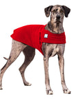 Great Dane Tummy Warmer - Voyagers K9 Apparel