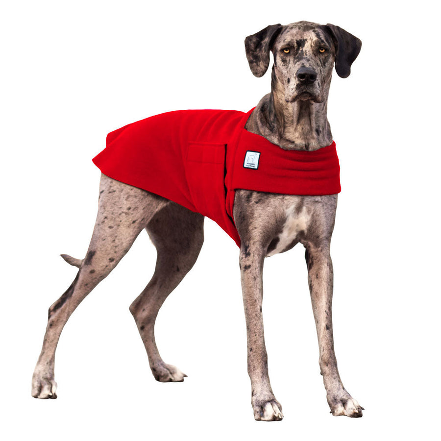 Great Dane Tummy Warmer - Voyagers K9 Apparel