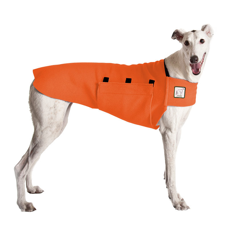 ReCoat ♻️ Greyhound Tummy Warmer