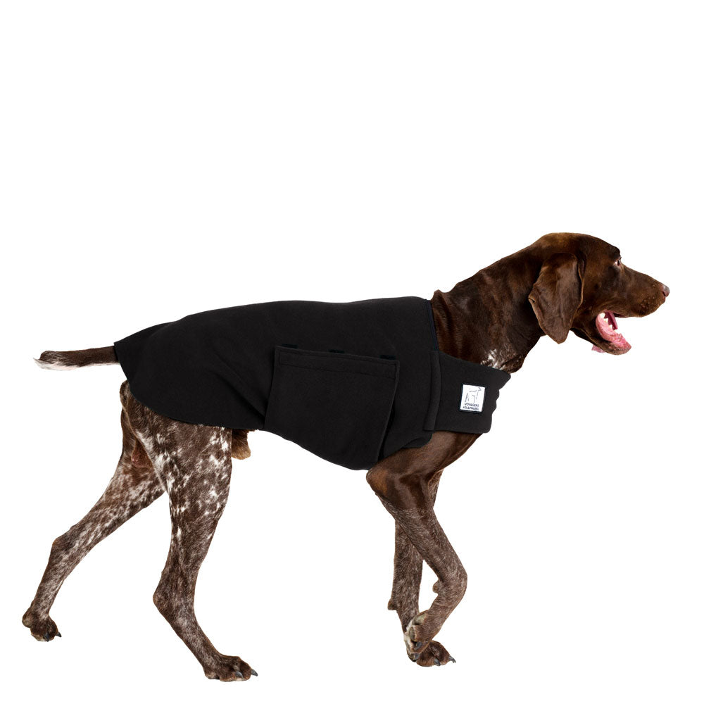 German Shorthaired Pointer Dog Tummy Warmer Dog Vest – Voyagers K9 Apparel