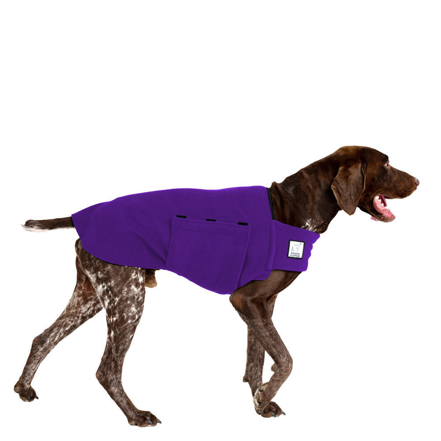 German Shorthaired Pointer Tummy Warmer - Voyagers K9 Apparel