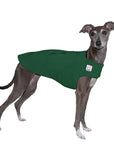 Italian Greyhound Tummy Warmer - Voyagers K9 Apparel