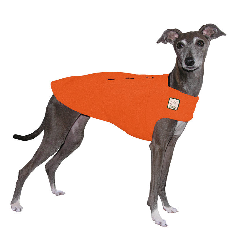ReCoat ♻️ Italian Greyhound Tummy Warmer