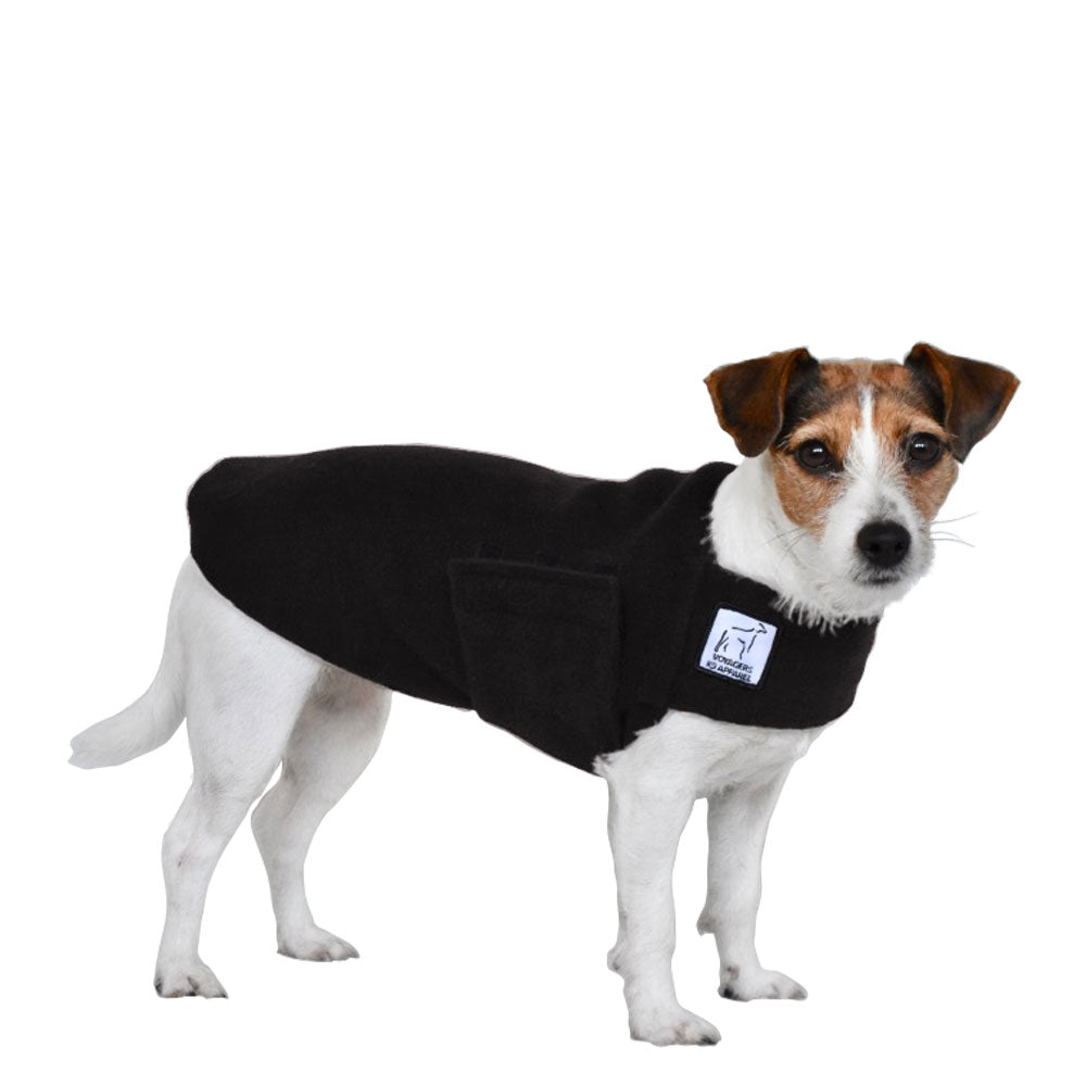 Jack Russell Terrier Tummy Warmer