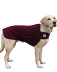 Labrador Retriever Tummy Warmer - Voyagers K9 Apparel