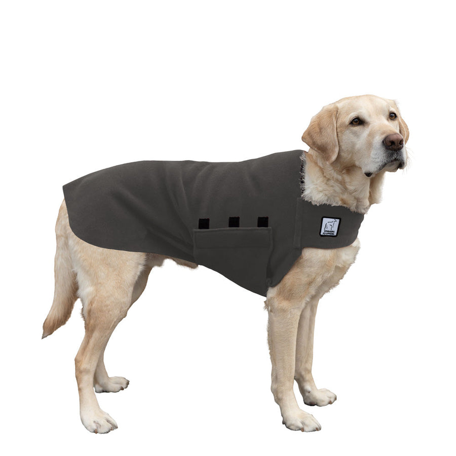 Labrador Retriever Tummy Warmer - Voyagers K9 Apparel