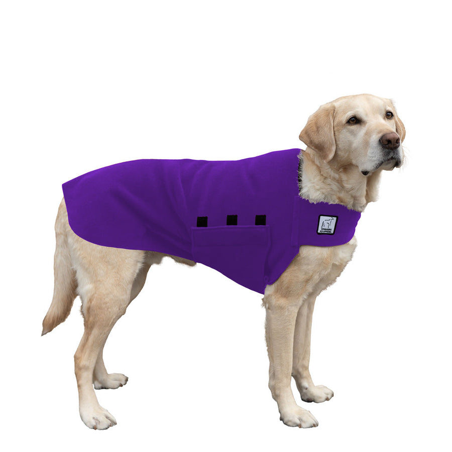 Labrador Retriever Tummy Warmer - Voyagers K9 Apparel