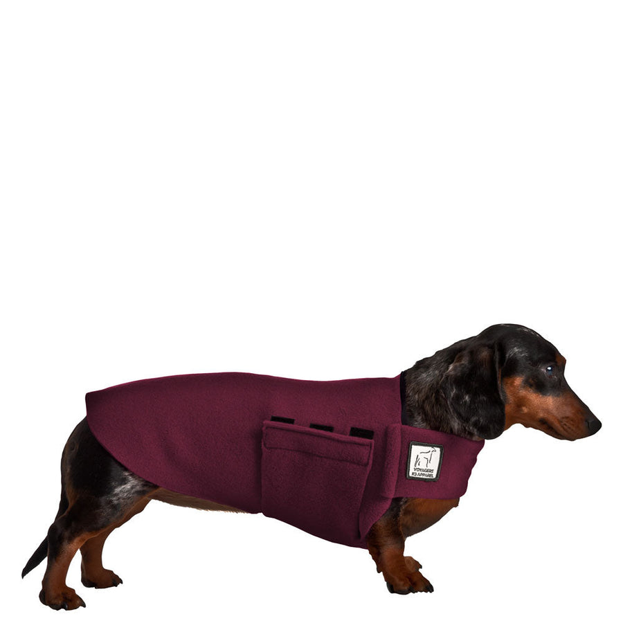 Miniature Dachshund Tummy Warmer - Voyagers K9 Apparel