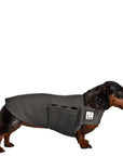 Miniature Dachshund Tummy Warmer - Voyagers K9 Apparel