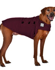 Rhodesian Ridgeback Tummy Warmer - Voyagers K9 Apparel