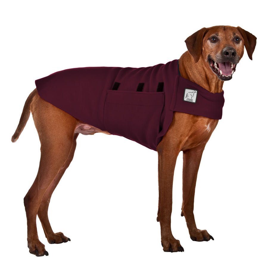 Rhodesian Ridgeback Tummy Warmer - Voyagers K9 Apparel