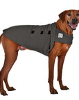 Rhodesian Ridgeback Tummy Warmer - Voyagers K9 Apparel