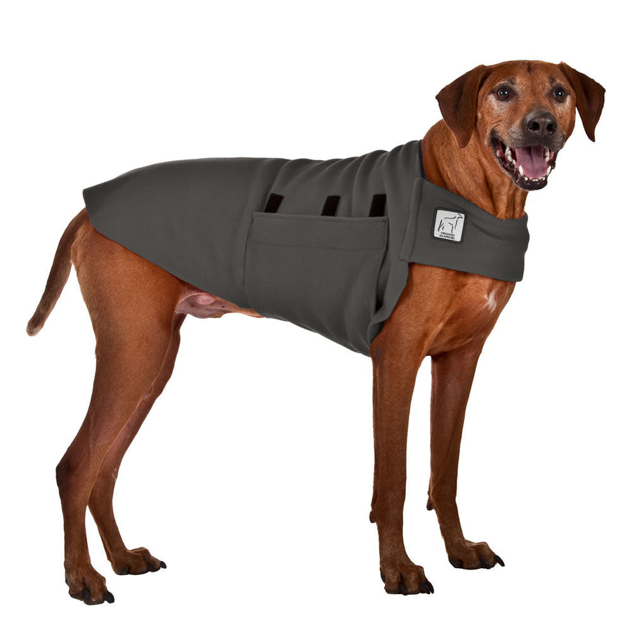 Rhodesian Ridgeback Tummy Warmer - Voyagers K9 Apparel