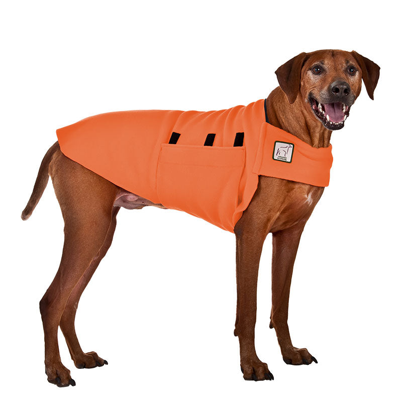 Rhodesian Ridgeback Tummy Warmer Dog Vest – Voyagers K9 Apparel