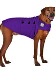 Rhodesian Ridgeback Tummy Warmer - Voyagers K9 Apparel