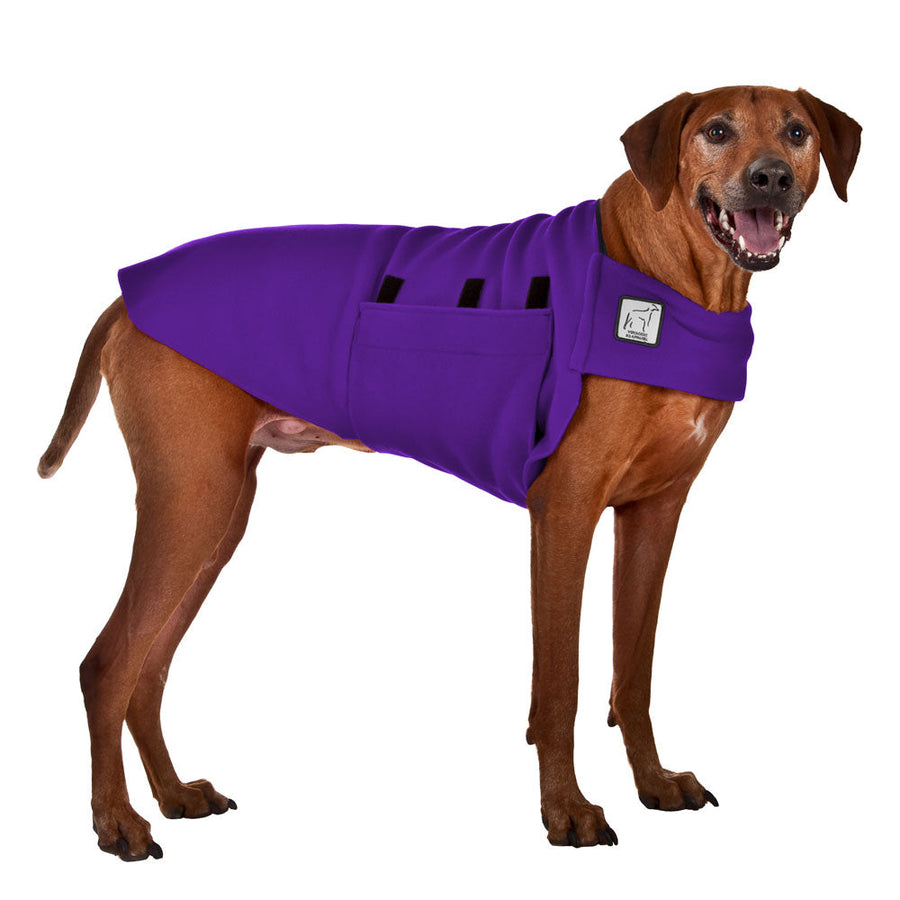 Rhodesian Ridgeback Tummy Warmer - Voyagers K9 Apparel